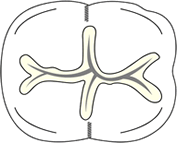 �V�[�����g