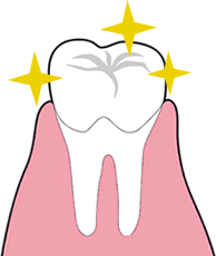 �z�[���z���C�g�j���O